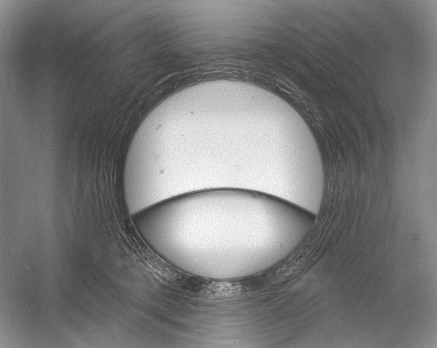 X0000052940421200508050901