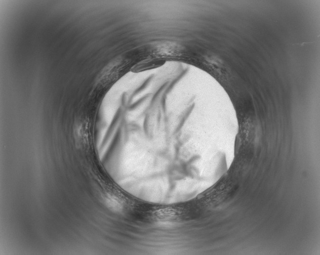 X0000052940423200508050901