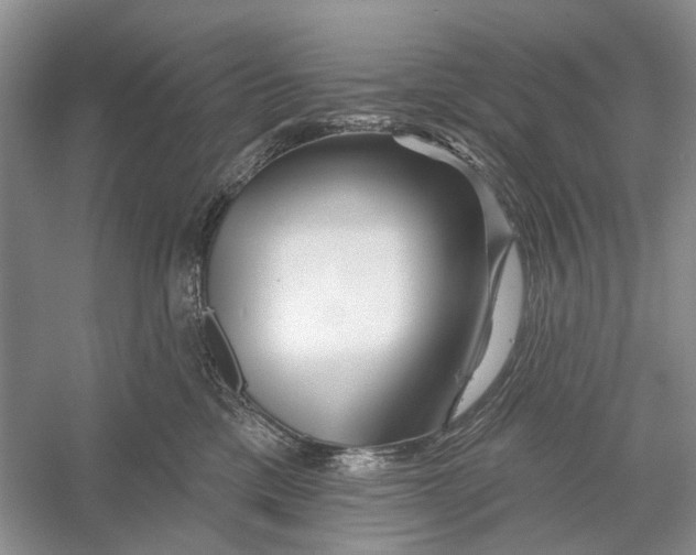 X0000052940425200508050900