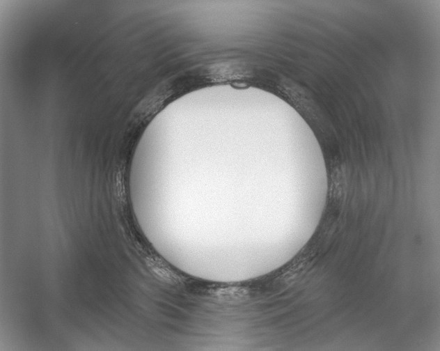 X0000052940426200508050900