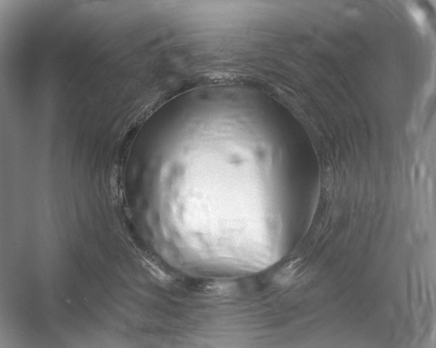 X0000052940428200508050900