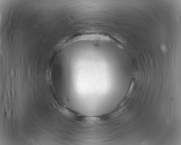 X0000052940429200508050900