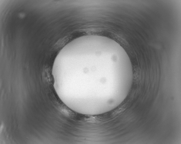 X0000052940430200508050900