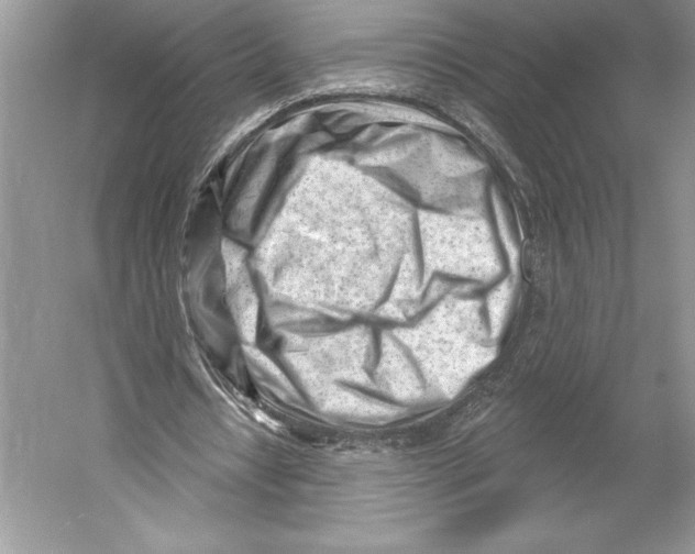 X0000052940434200508050900