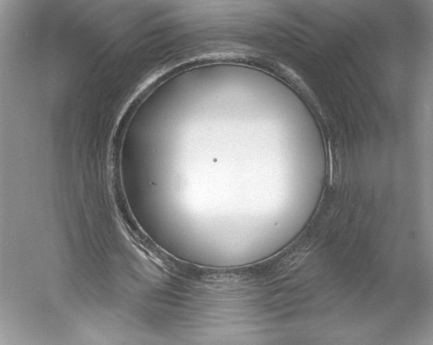 X0000052940435200508050900