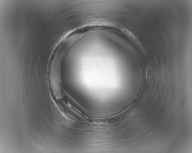 X0000052940436200508050900