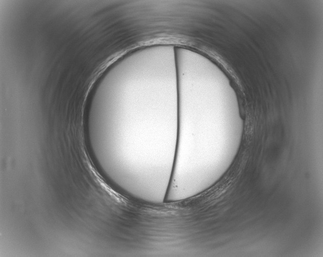 X0000052940437200508050900