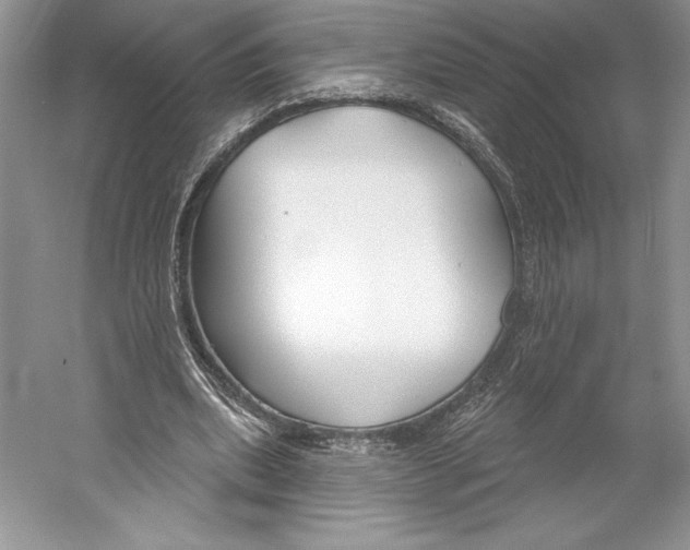 X0000052940439200508050900