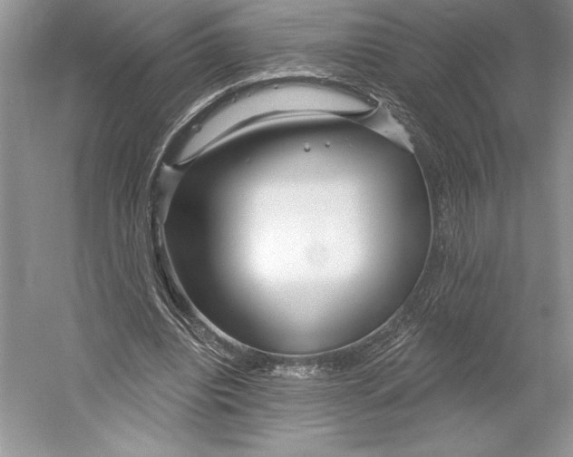 X0000052940440200508050900