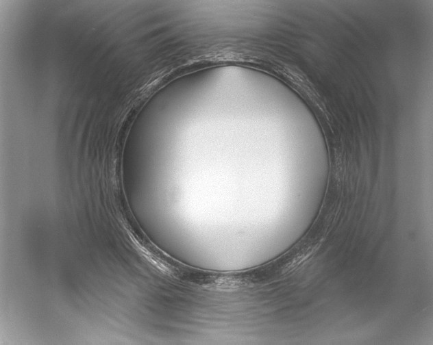 X0000052940441200508050900