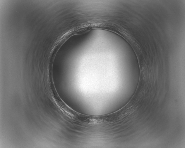 X0000052940442200508050900