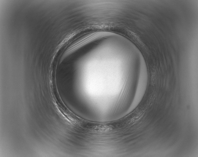 X0000052940443200508050900