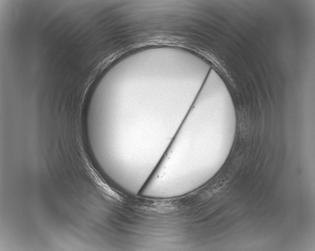 X0000052940445200508050900