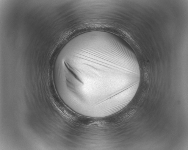 X0000052940447200508050900