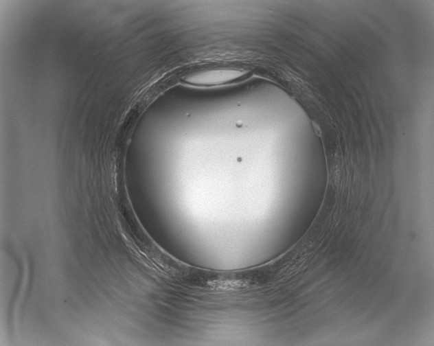 X0000052940448200508050900