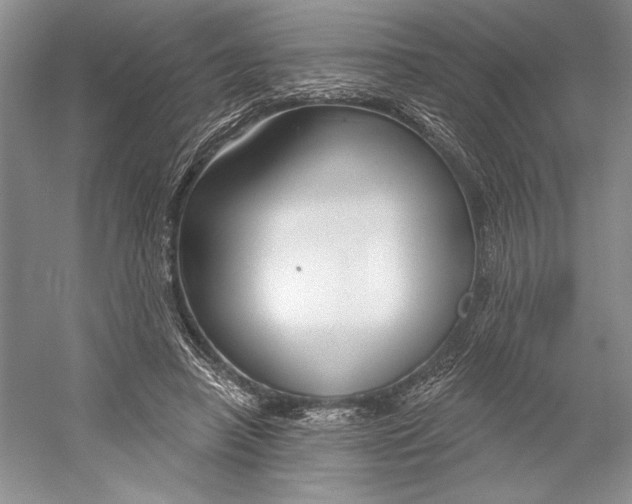 X0000052940450200508050900