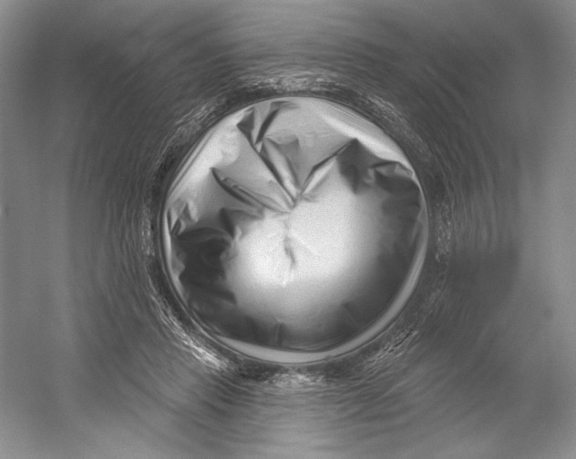 X0000052940453200508050900