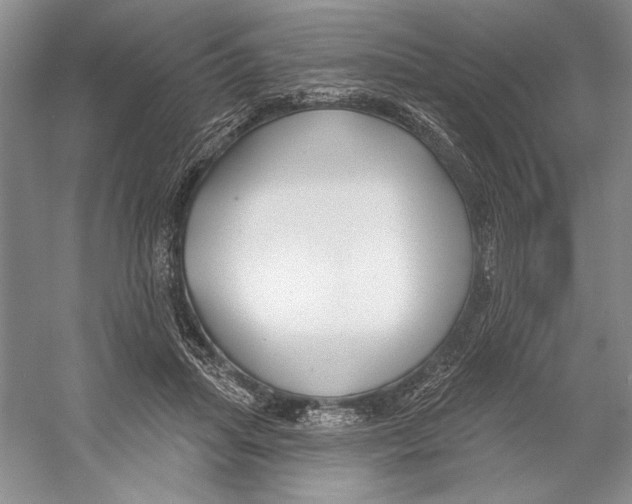 X0000052940455200508050900