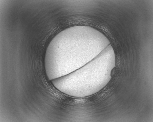 X0000052940457200508050900