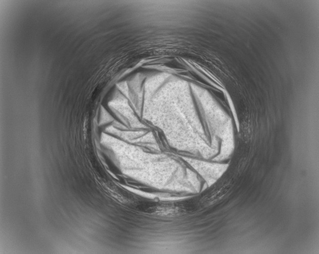 X0000052940458200508050900