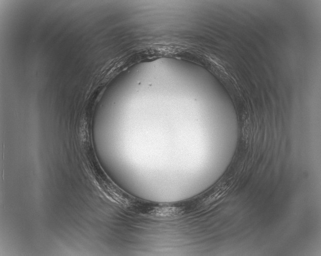 X0000052940459200508050900