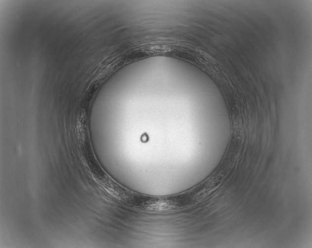 X0000052940460200508050900