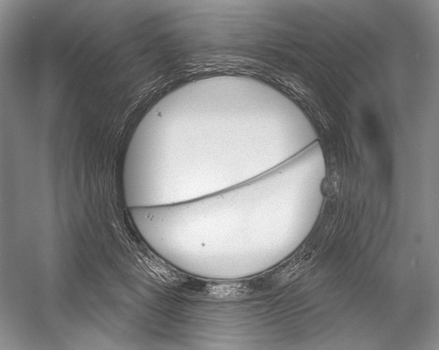 X0000052940461200508050900