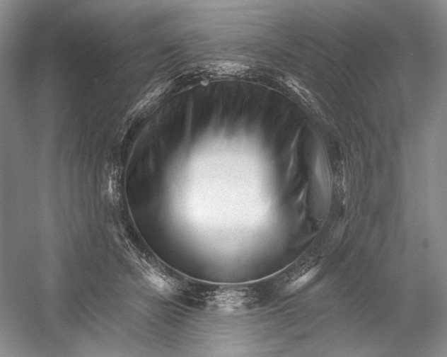 X0000052940462200508050900