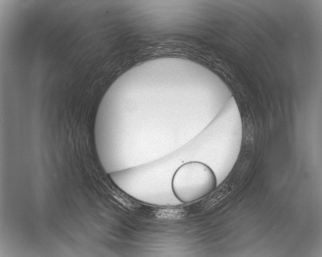 X0000052940465200508050900