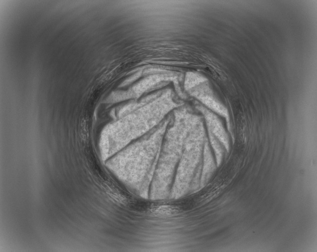 X0000052940467200508050900