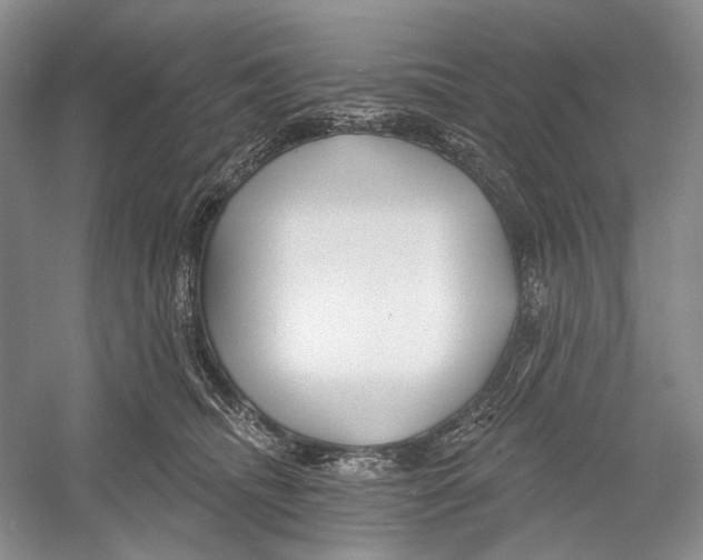 X0000052940468200508050900