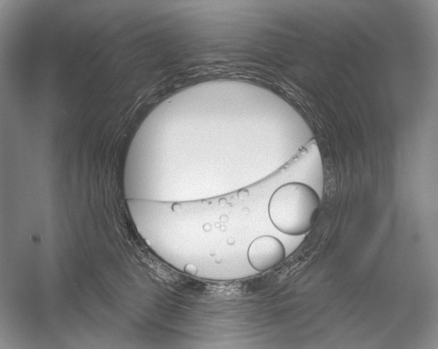 X0000052940469200508050900