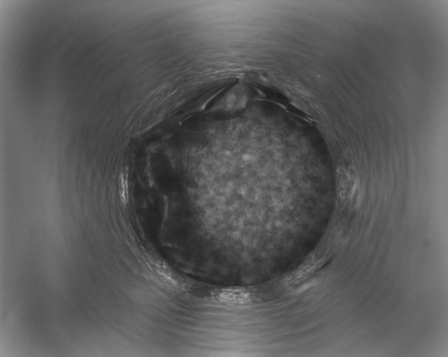 X0000052940471200508050900