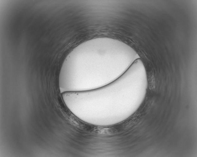 X0000052940472200508050900