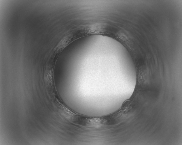 X0000052940473200508050900