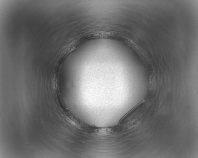 X0000052940474200508050900