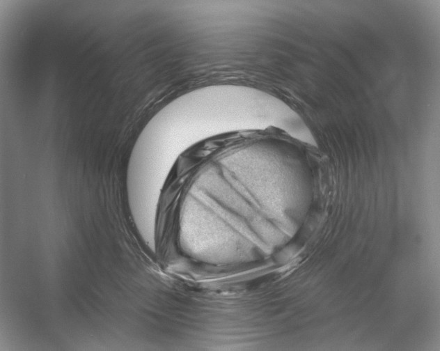 X0000052940475200508050900