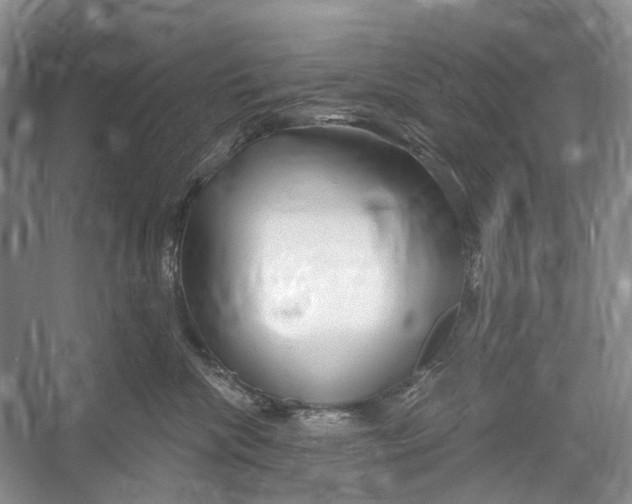 X0000052940476200508050900