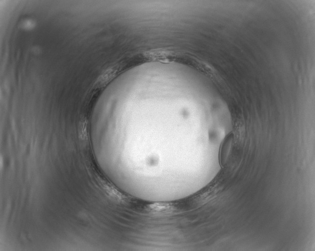 X0000052940477200508050900