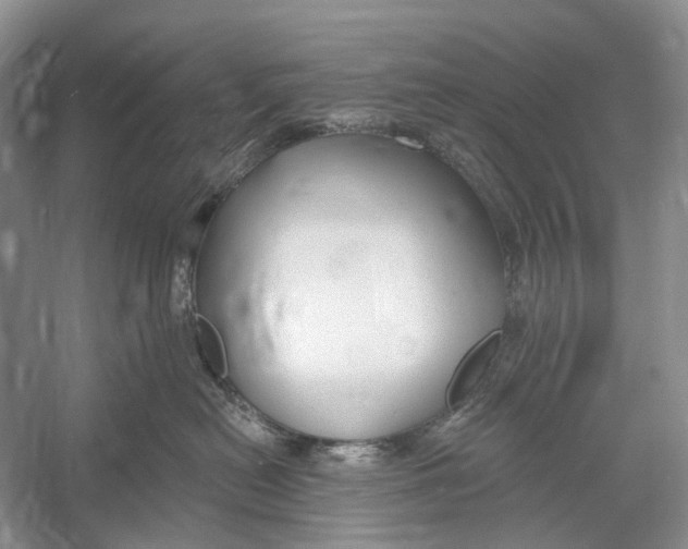 X0000052940478200508050900