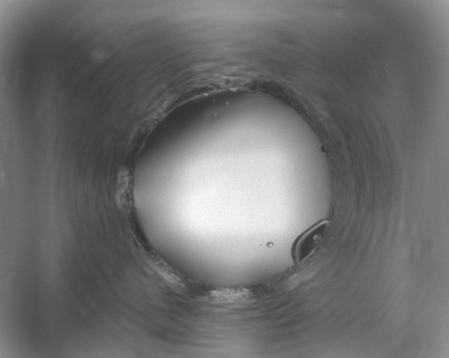 X0000052940480200508050900