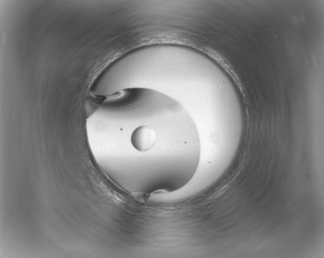 X0000052940481200508050900