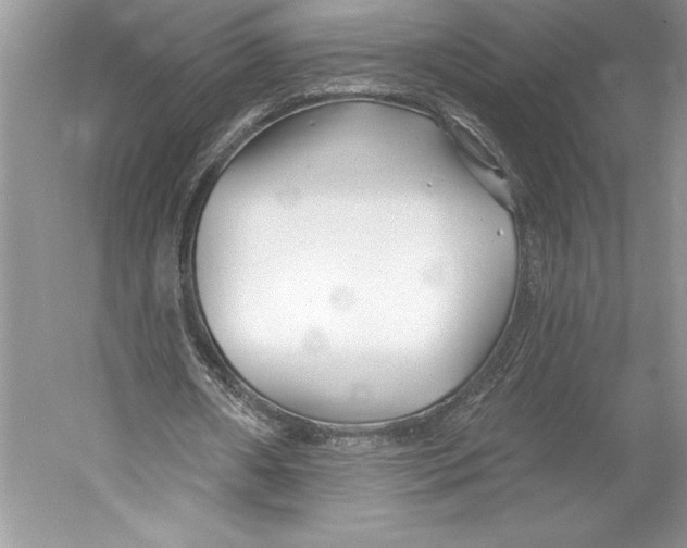 X0000052940482200508050900