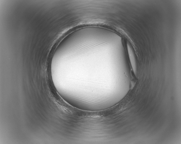 X0000052940483200508050900