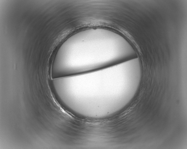 X0000052940485200508050859