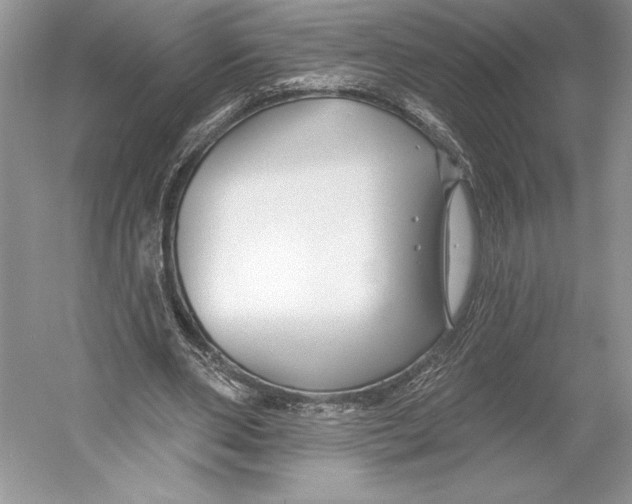 X0000052940486200508050859