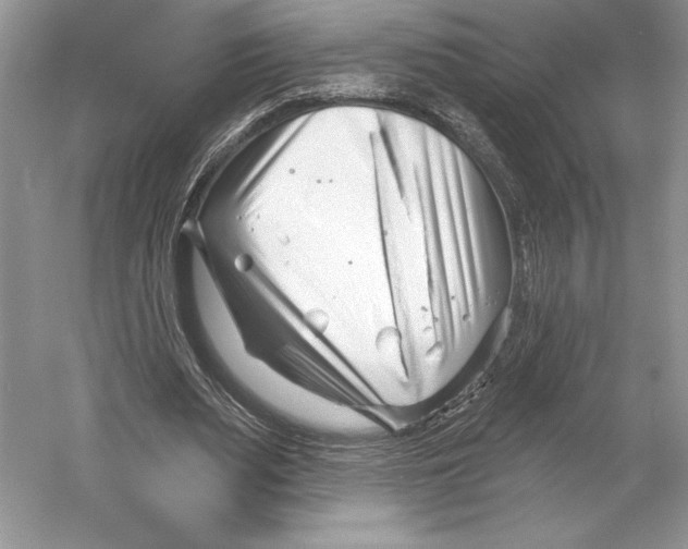 X0000052940487200508050859