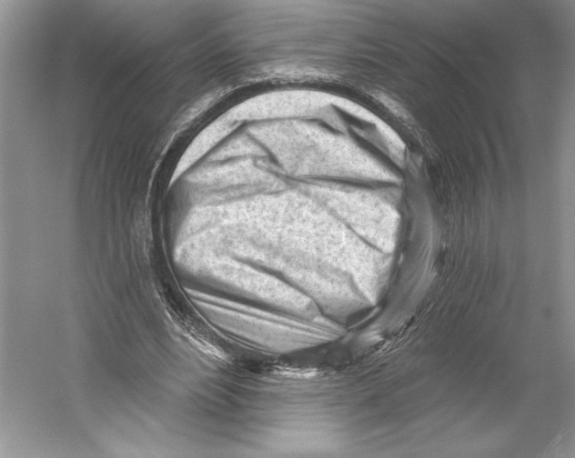 X0000052940488200508050859