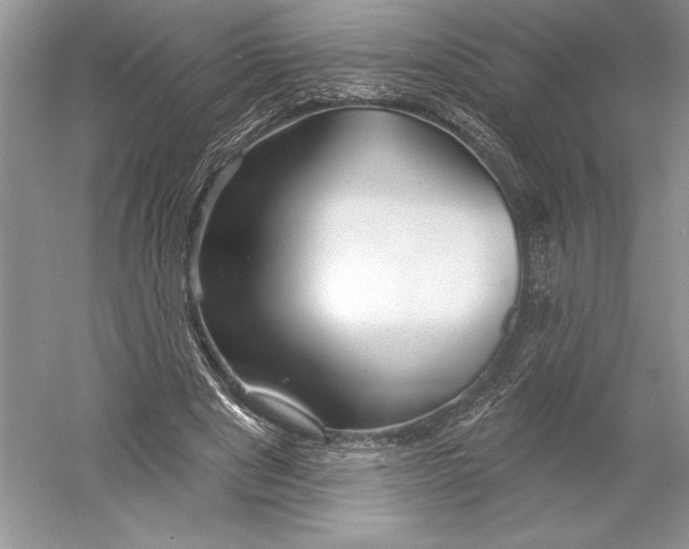 X0000052940489200508050859