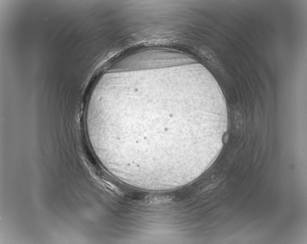 X0000052940491200508050859